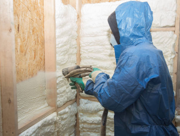 Best Wall Insulation Installation  in Colfax, LA